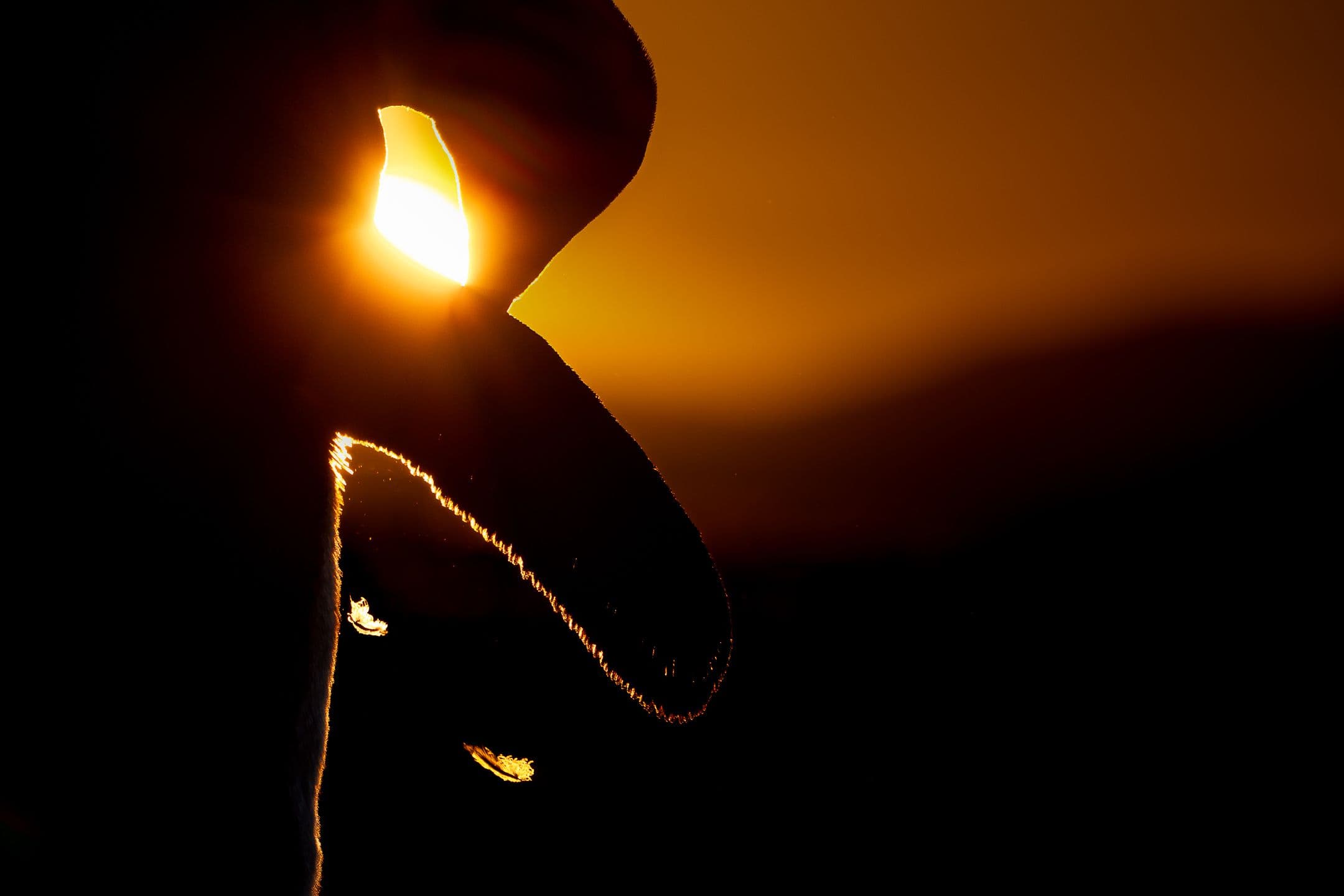 Why Photographers Struggle to Judge Their Own Work